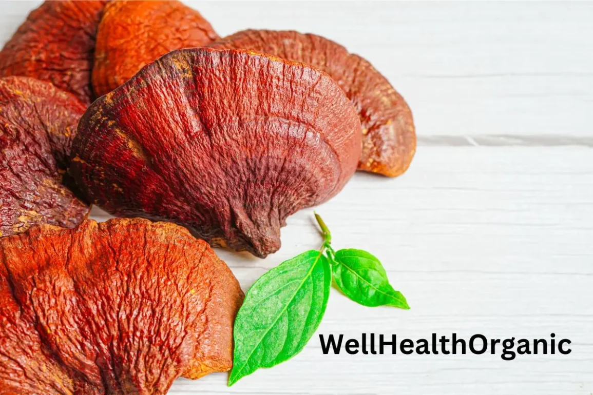 WellHealthOrganic