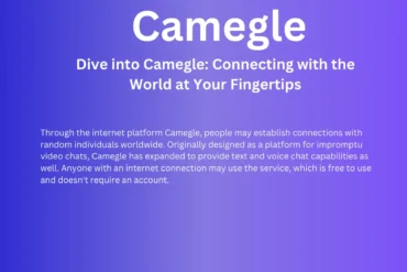 Camegle chat interface showcasing video, text, and voice chat options.