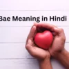 Bae Meaning in Hindi