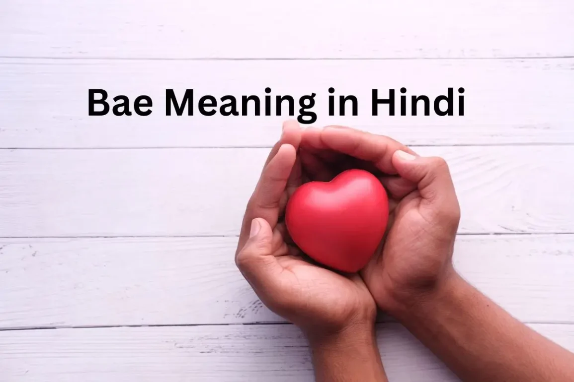 Bae Meaning in Hindi